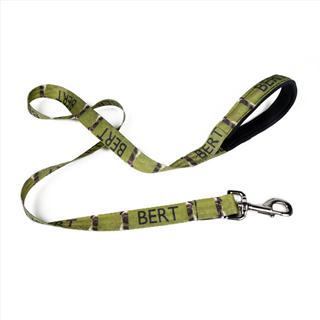 dog lead with repeated photo